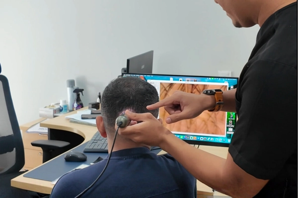 Consultation Process